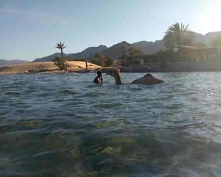 Sebaii Camp السباعى كامب شاطئ الترابين بجوار ويت بالس Hostel Nuweiba` Exterior foto