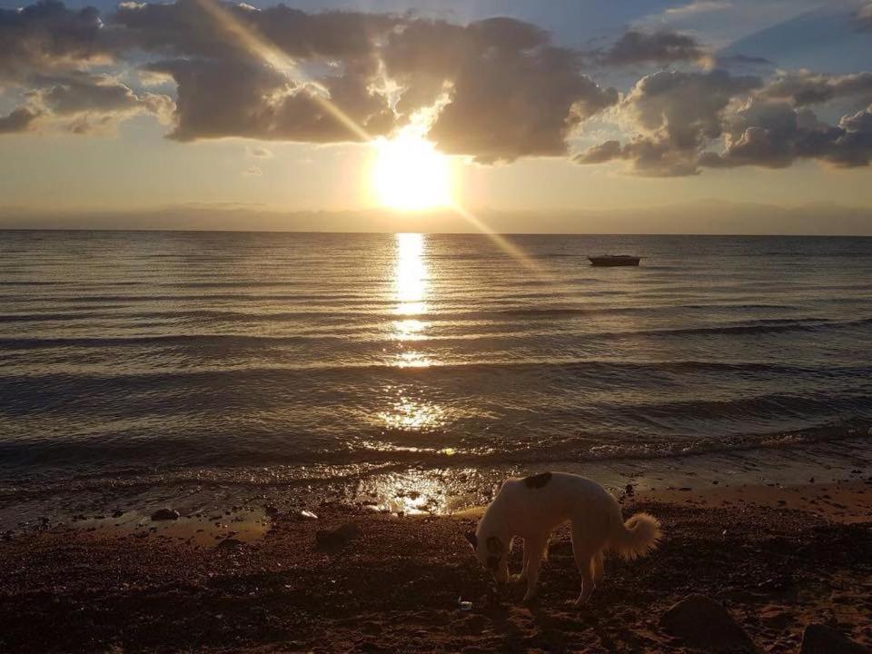Sebaii Camp السباعى كامب شاطئ الترابين بجوار ويت بالس Hostel Nuweiba` Exterior foto