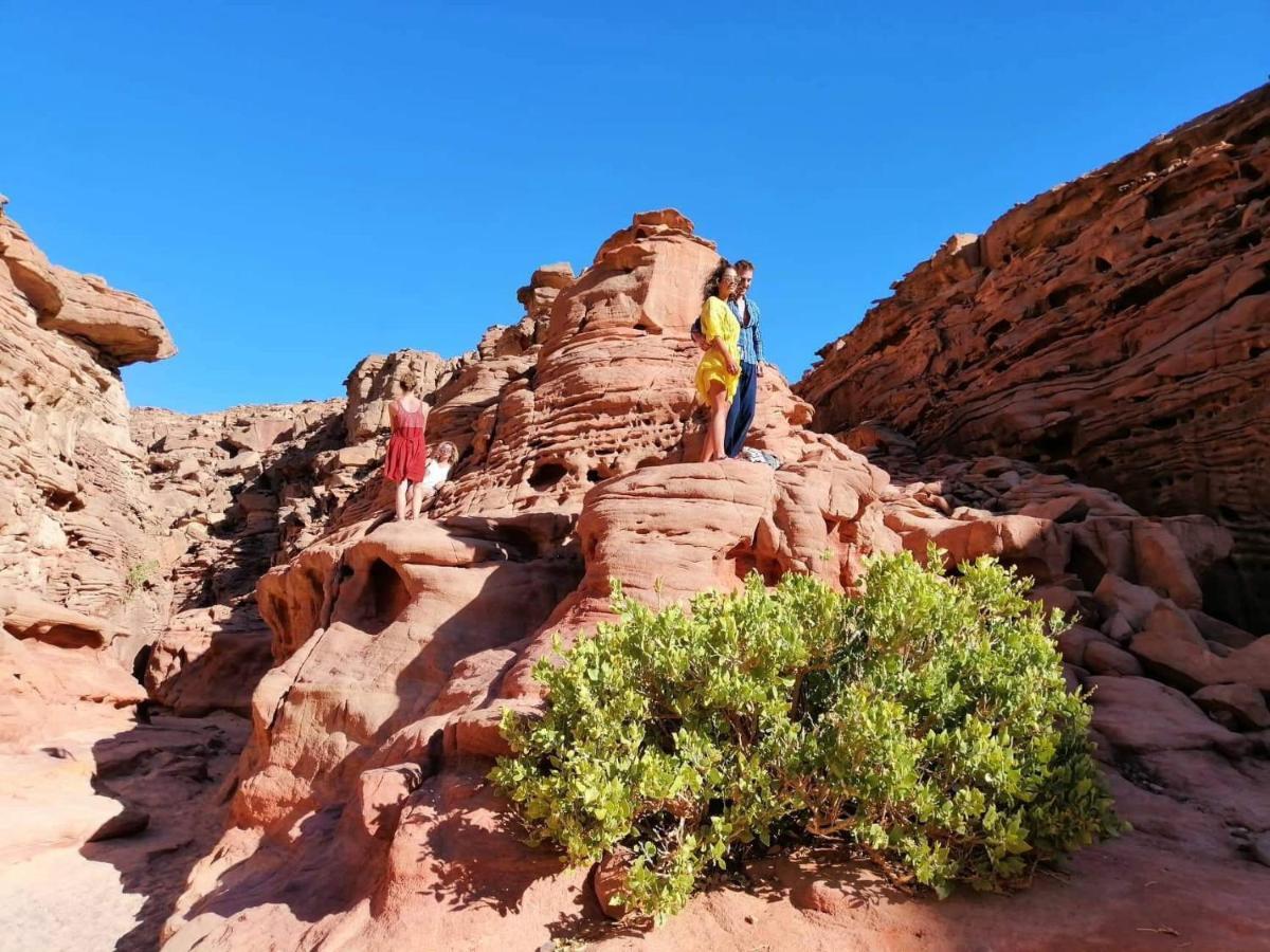 Sebaii Camp السباعى كامب شاطئ الترابين بجوار ويت بالس Hostel Nuweiba` Exterior foto